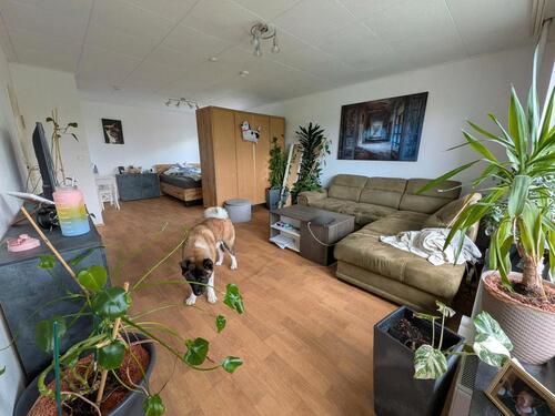 Foto - 1.5 Zimmer Etagenwohnung zur Miete in Leverkusen