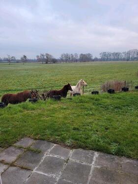 Foto - 2 Zimmer Etagenwohnung zur Miete in Dallgow-Döberitz