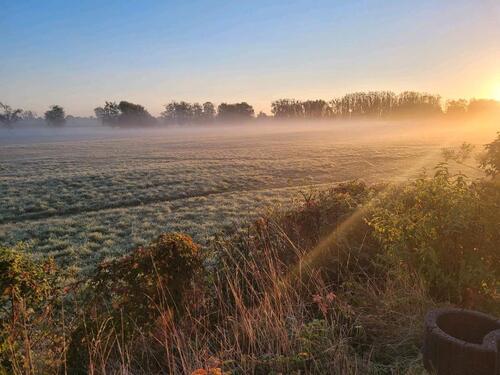 Foto - 2 Zimmer Etagenwohnung in Dallgow-Döberitz