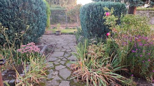 Foto - Grundstück zur Miete in Delitzsch