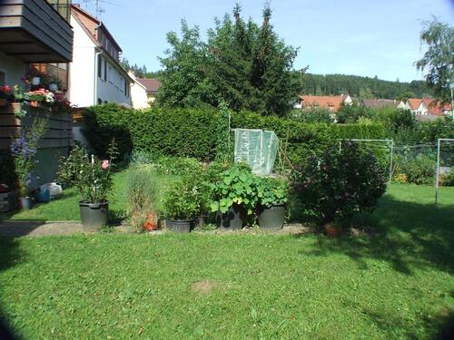 Foto - 18 Zimmer Mehrfamilienhaus, Wohnhaus in Immendingen