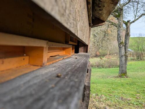 Foto - Einfamilienhaus in Dorfen zum Kaufen