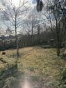Foto - Besichtigung So 10.4. Garten auf dem Lohrberg zu vermieten