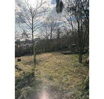 Besichtigung So 10.4. Garten auf dem Lohrberg zu vermieten - Frankfurt am Main Innenstadt 3