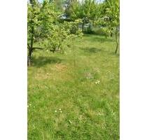 Kleingarten Schrebergarten - 4.500,00 EUR Kaltmiete, ca.  0,00 m² in Bardowick (PLZ: 21357)