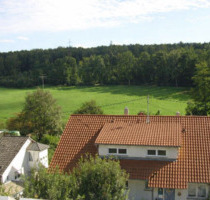Helle Dachgeschosswohnung in ruhiger Lage mit Blick ins Grüne - Leonberg