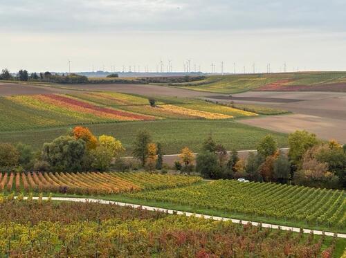 Foto - Dolgesheim: 1.200 m² Garten & Grünland mit Bachlauf (befahrbar)