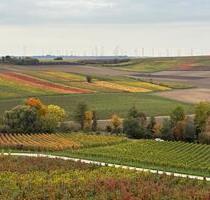 Dolgesheim: 1.200 m² Garten & Grünland mit Bachlauf (befahrbar) - Mommenheim