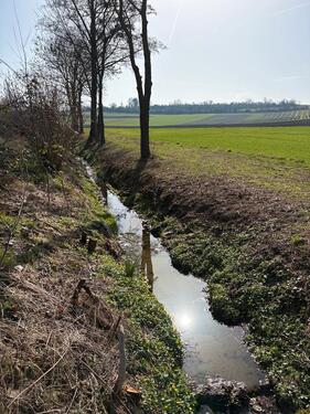 Foto - Grundst&uuml;ck zur Miete in Mommenheim
