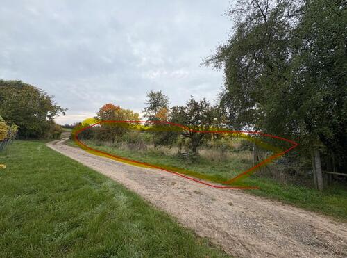 Foto - Grundst&uuml;ck in Mommenheim