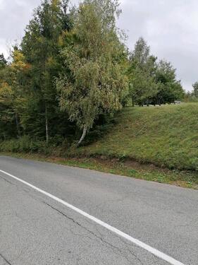 Foto - andere zur Miete in Mainz