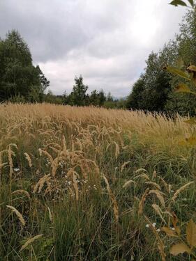 Foto - andere in Mainz