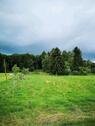 Foto - Grundst&uuml;ck zur Miete in Ober-Mörlen