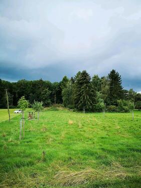 Foto - Grundst&uuml;ck zur Miete in Ober-Mörlen