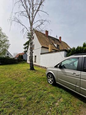 Foto - Einfamilienhaus in Delitzsch zum Kaufen