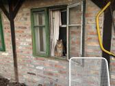 Foto - Einfamilienhaus zum Kaufen in Sulzfeld