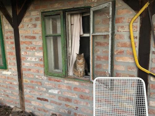 Foto - Einfamilienhaus zum Kaufen in Sulzfeld
