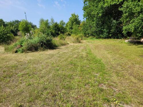 Foto - Grundstück in Walkenried