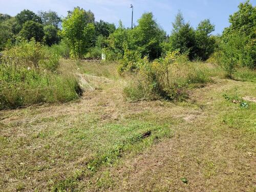 Foto - Grundstück in Walkenried zur Miete