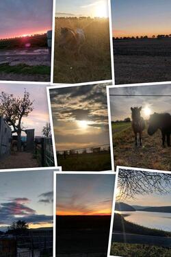 Foto - Schöne 2 Zimmer Wohnung im OG - 680,00&nbsp;EUR Kaltmiete, ca.&nbsp; 75,00&nbsp;m&sup2;