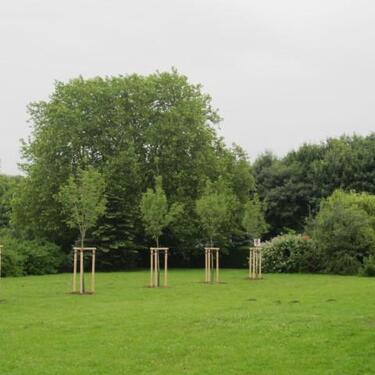Foto - 3 Zimmer Etagenwohnung zur Miete in Gelsenkirchen
