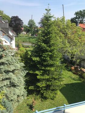 Foto - 3 Zimmer Etagenwohnung zur Miete in Bad Vilbel