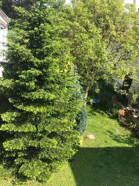 Foto - 3 Zimmer Etagenwohnung in Bad Vilbel