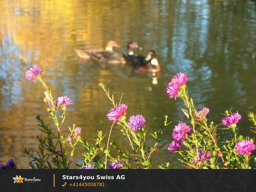 Foto - 1.OG 2-Zimmerwohnung für Naturliebhaber *ohne Vermittlungsprovision*