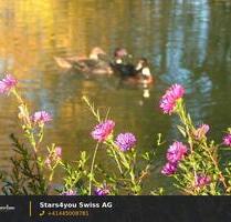 1.OG 2-Zimmerwohnung für Naturliebhaber *ohne Vermittlungsprovision* - Wolnzach