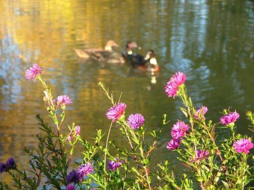 Foto - 2 Zimmer Etagenwohnung in Wolnzach