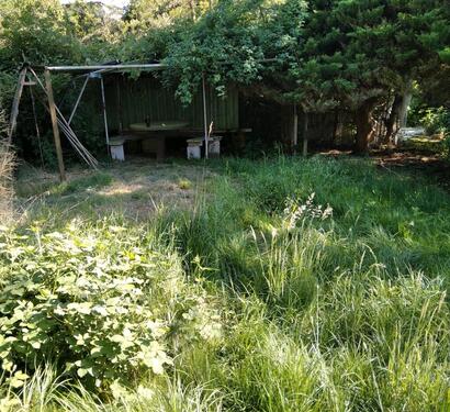 Foto - Einfamilienhaus in Bad Schmiedeberg