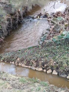 Foto - Einfamilienhaus in Bad Schmiedeberg zum Kaufen