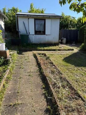 Foto - Unsere aktuellen Gartenangebote