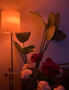 Foto - Liebevoll eingerichtete Einzimmerwohnung in Nymphenburg für Nov