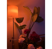 Liebevoll eingerichtete Einzimmerwohnung in Nymphenburg für Nov - München Neuhausen-Nymphenburg Liebevoll eingerichtete Einzimmerwohnung in Nymphenburg für Nov - München Neuhausen-Nymphenburg