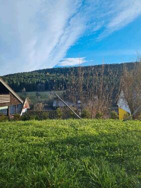 Foto - 5 Zimmer Erdgeschoßwohnung zur Miete in Waldachtal