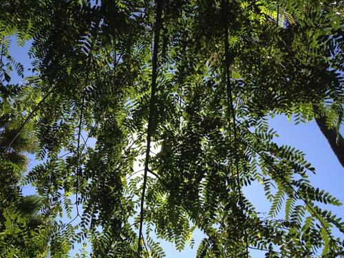 Foto - andere in Bocholt