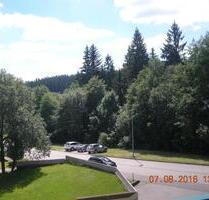 TOLLE SONNIGE MOBLIERTE 2 ZI. WHG AUF DEM KNIEBIS - Freudenstadt