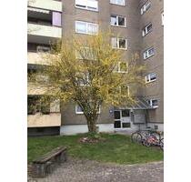 Neu-renovierte 2-Zimmer-Wohnung - Ulm Donautal