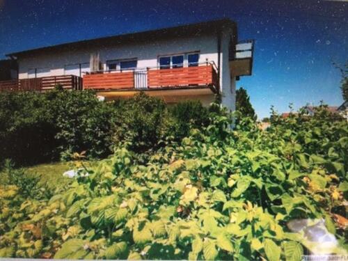 Foto - Etagenwohnung in Weingarten zur Miete