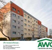 Geräumige 2-Raum-Wohnung mit Waldblick - Wolmirstedt