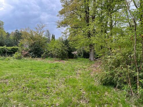 Foto - Grundstück in Brelingen zur Verpachtung – Ideal für Tiny House