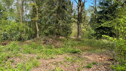 Foto - Grundstück zur Miete in Wedemark