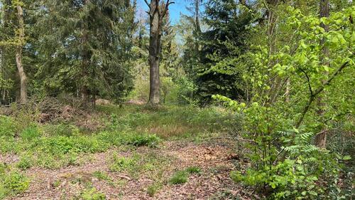 Foto - Grundstück in Wedemark zur Miete