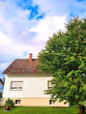 Foto - Einfamilienhaus mit großem Grundstück zu vermieten