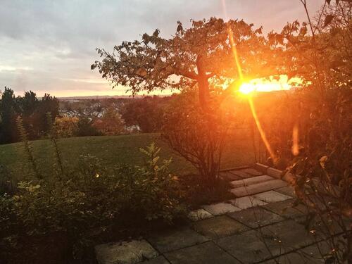 Foto - HELLE gepflegte 2,5-Zimmer-Terrassenwohnung mit Einbauküche