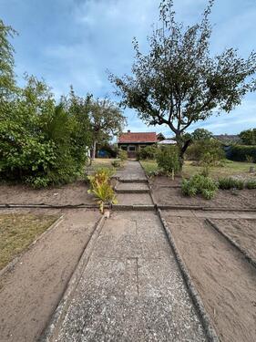Foto - Garten in schöner Lage abzugeben (Schrebergarten)