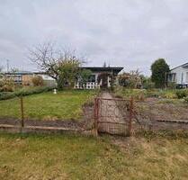 Kleingarten auf Pachtland in Waren West mit massiver Laube - Waren (Müritz)