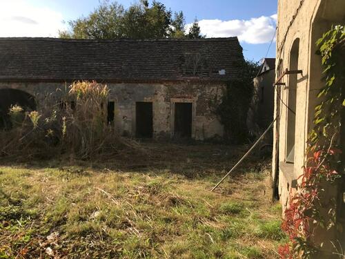 Foto - Mehrfamilienhaus, Wohnhaus in Dahlen zum Kaufen
