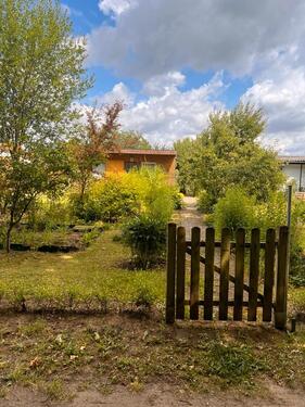 Foto - Kleingarten - Pachtgarten auf Vereinsgelände